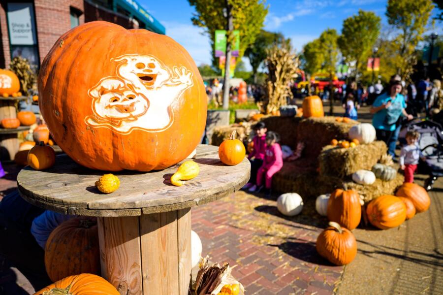 free-halloween-events-in-chicago-find-events-trick-or-treating