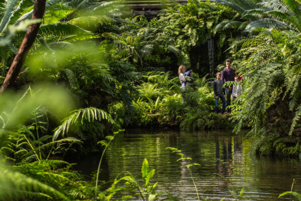 Garfield Park Conservatory