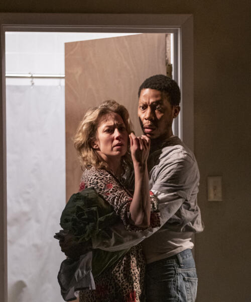 Steppenwolf presents BUG by Tracy Letts