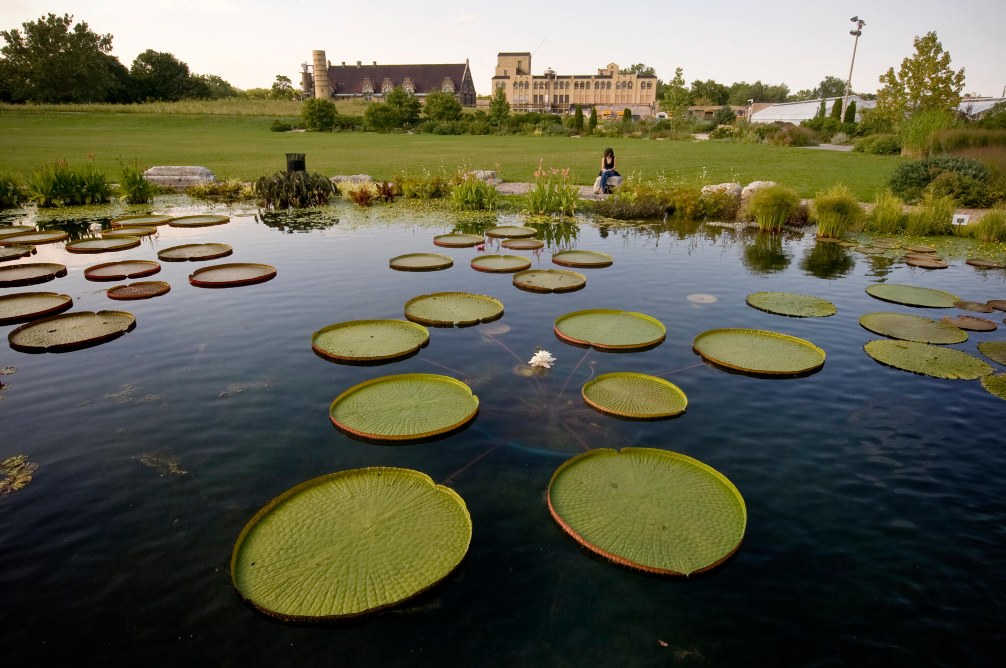 Garfield Park Neighborhood in Chicago | Choose Chicago