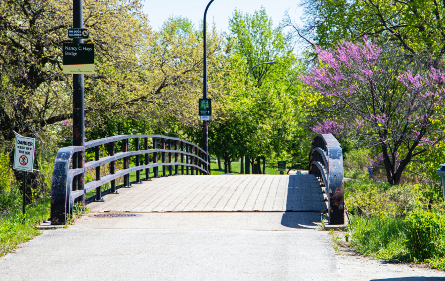 Jackson Park in spring