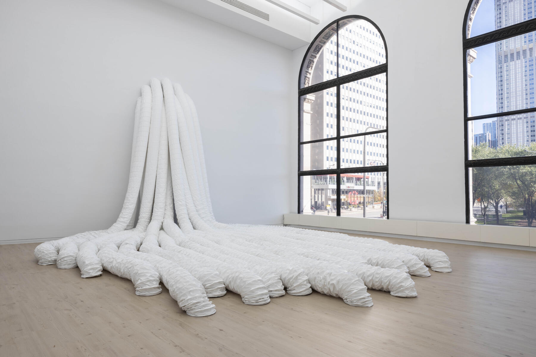 Nelly Agassi exhibit at the Chicago Cultural Center
