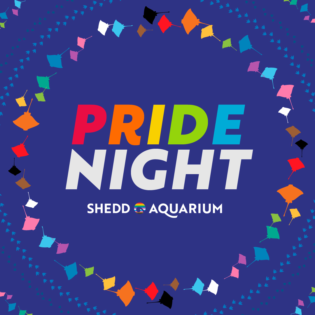 PrideNight-Main-logo-1080×1080-IG