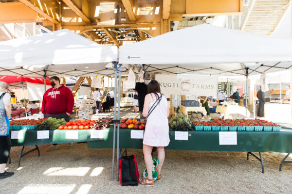 Lakeview Roscoe Village Chamber of Commerce | Lakeview Farmers Market Ribbon Cutting