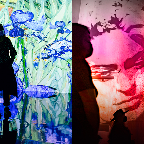 Images from the Immersive Van Gogh and the Immersive Frida Kahlo exhibit in Chicago