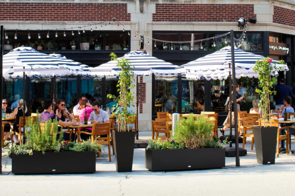 Rose Mary Patio