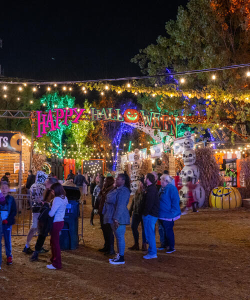 Jacks Pumpkin Pop-up