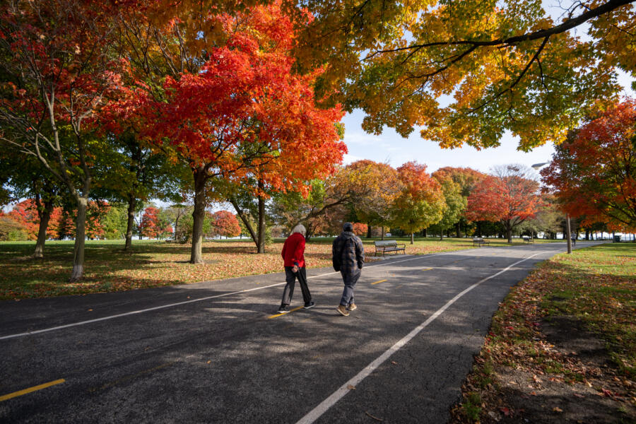 places to visit near chicago in fall