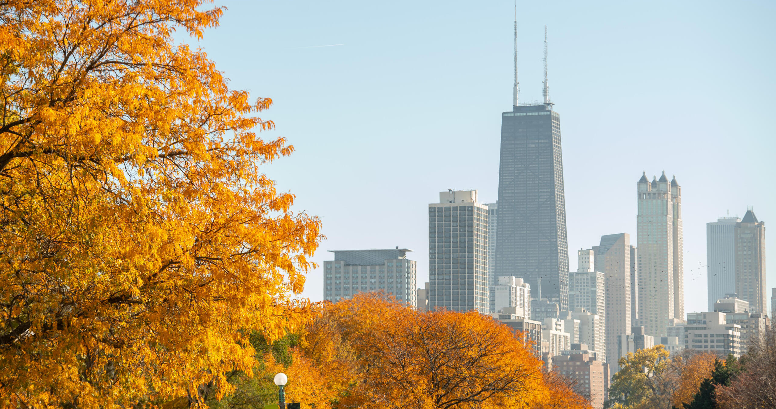 Where to see fall colors in and around Chicago