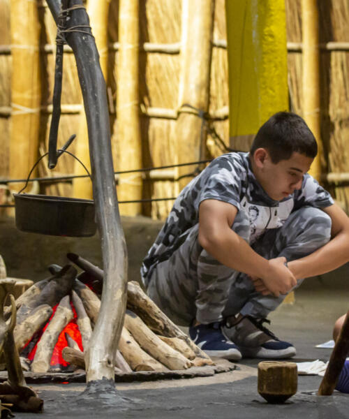 How to celebrate Native American history and culture in Chicago