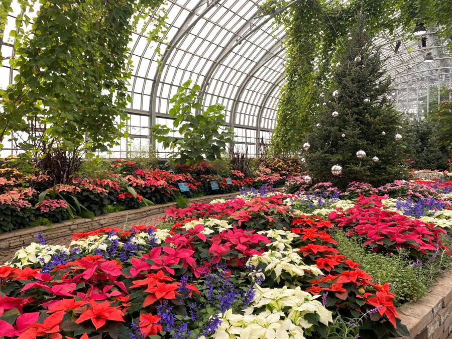  Holiday Flower Show at Garfield Park Conservatory