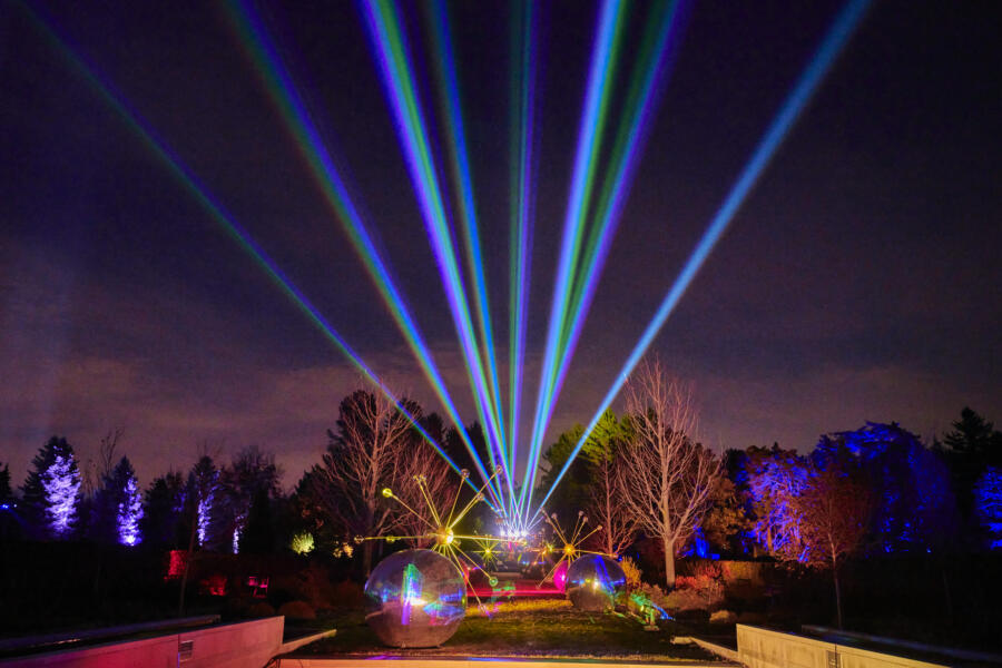 Illumination: Tree Lights at Morton Arboretum