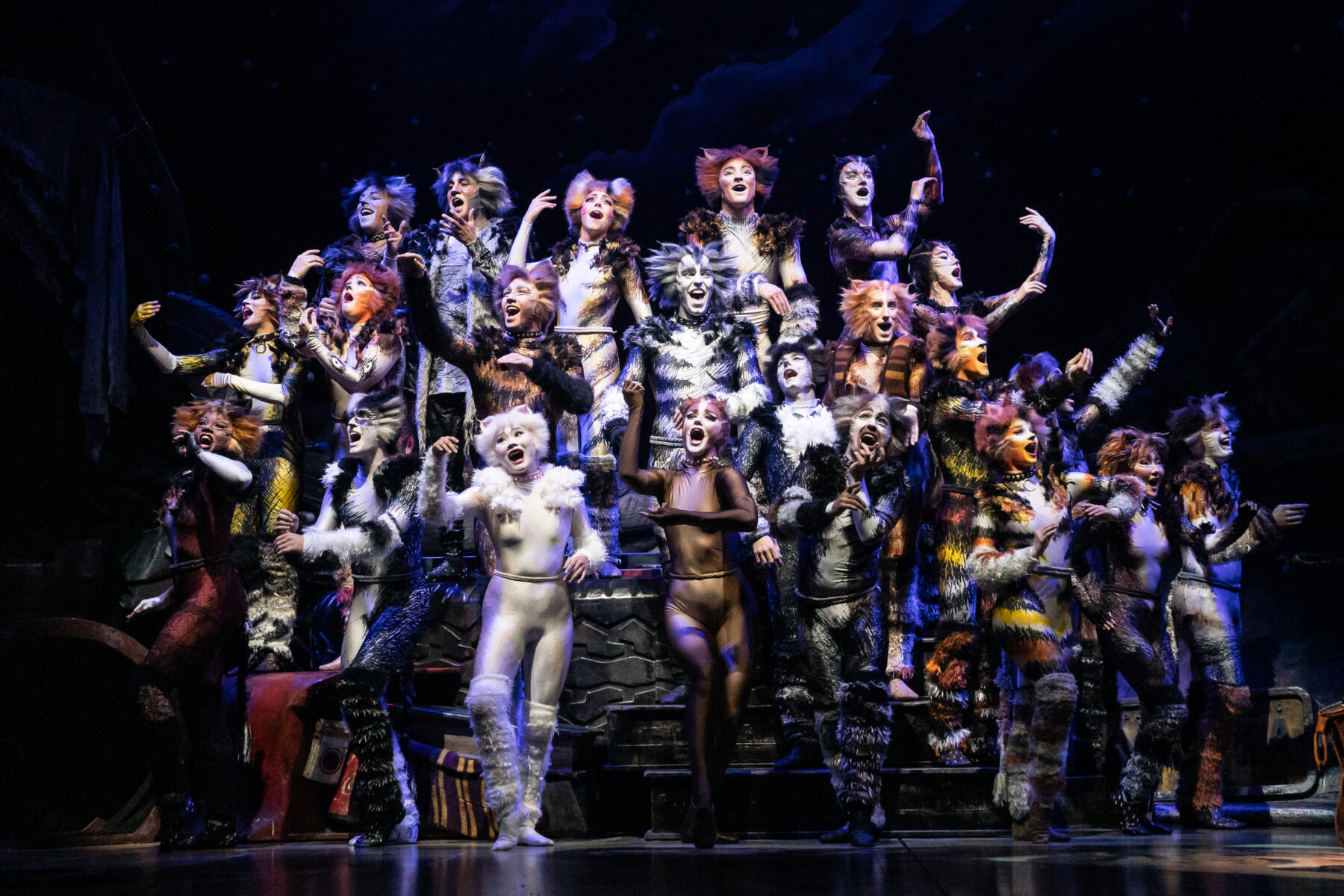 The company of the 2021-2022 national tour of CATS (Photo By Matthew Murphy, Murphymade) v1