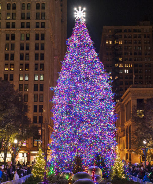 City of Chicago Christmas Tree