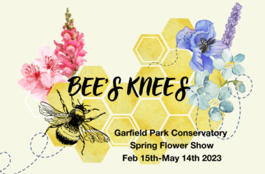 bees-knees-website-1-e1674759797462