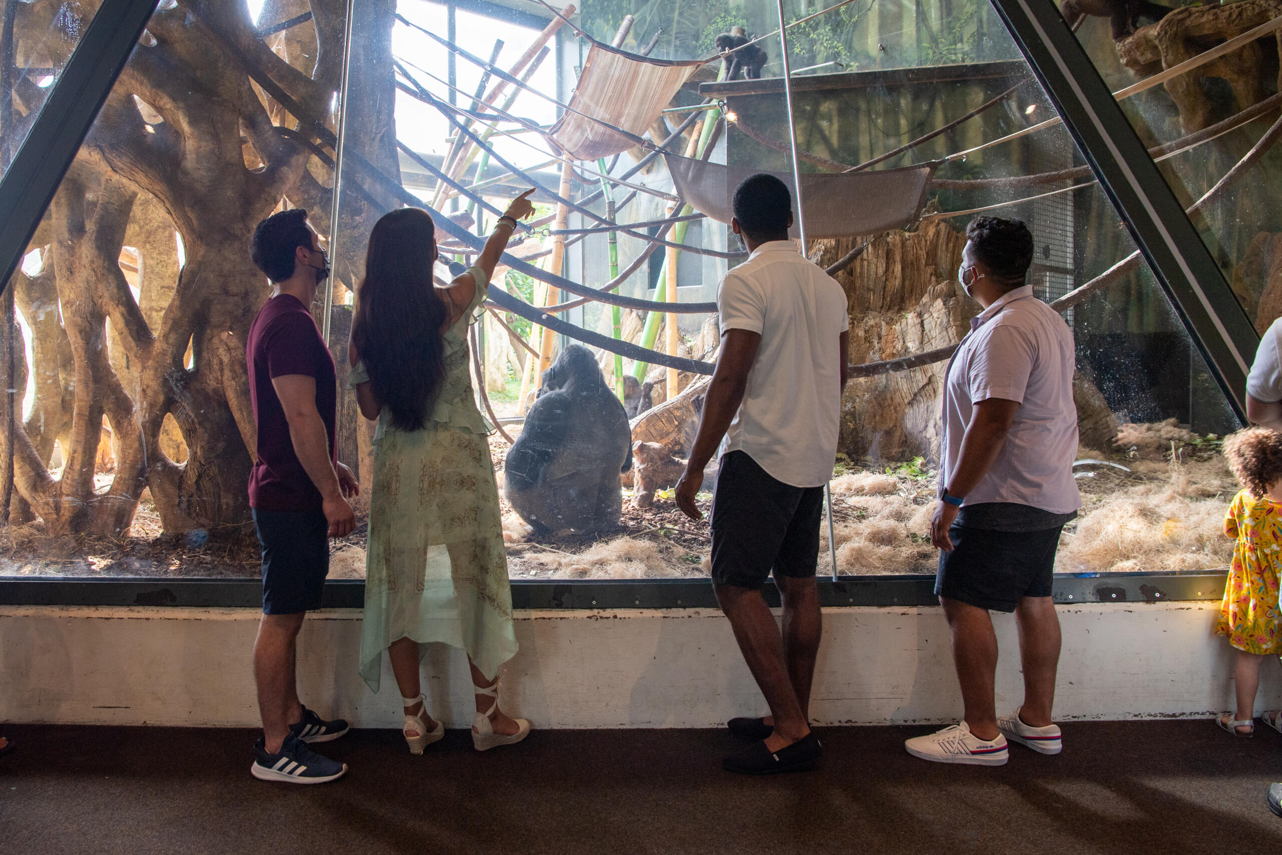 Searle Visitor Center, Lincoln Park Zoo