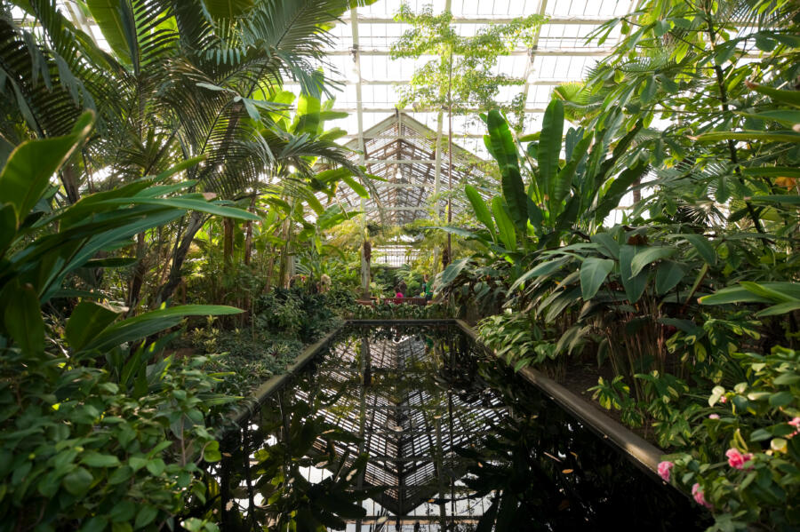 Garfield Park Conservatory