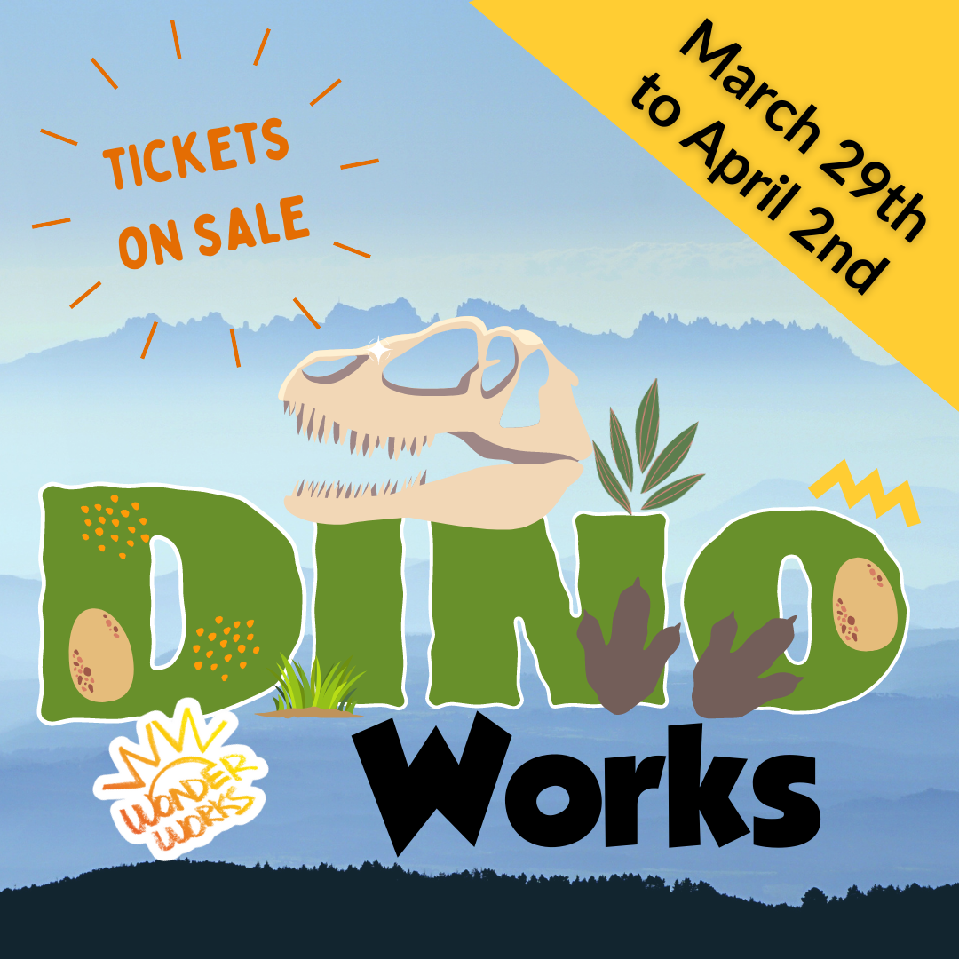 Dino Works 2023 Instagram-3