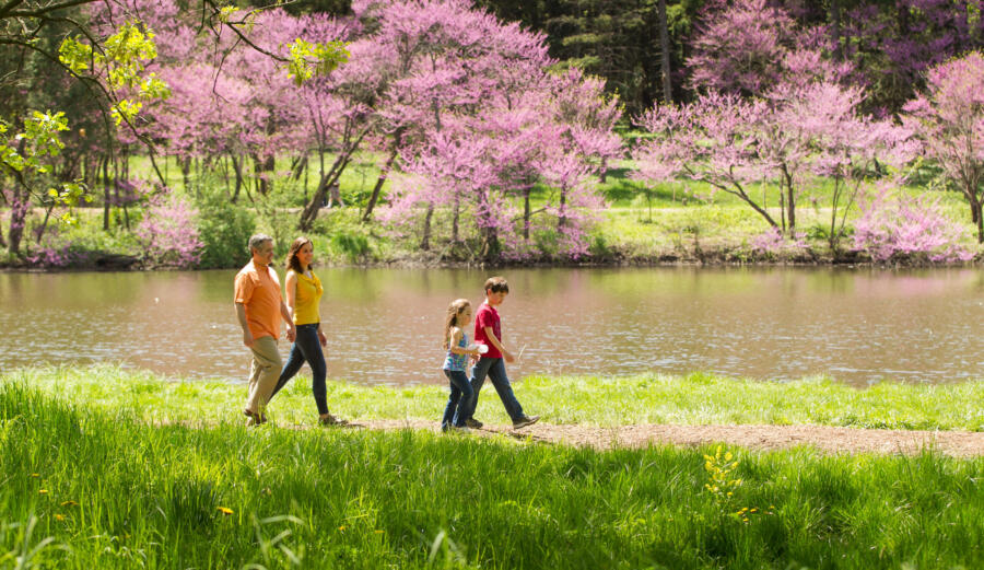 A family enjoys Morton Arboretum in spring