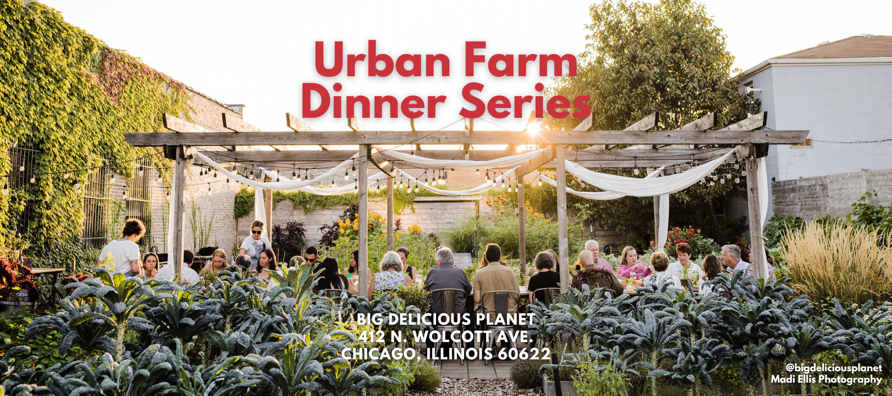 Copy of Our Urban Farm Dinner Series is back!