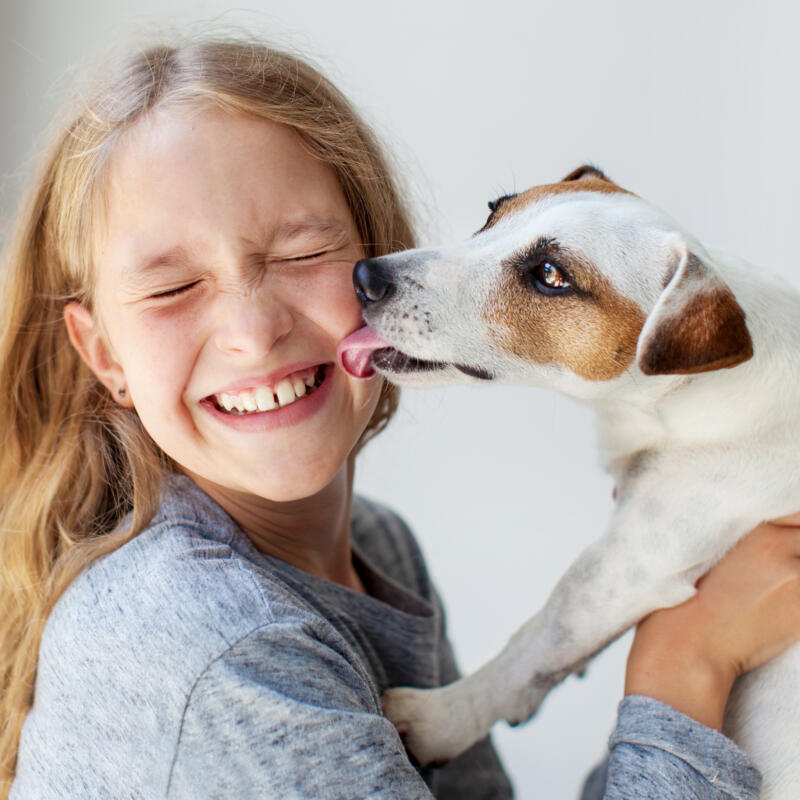 Great American Dog Show is a family event celebrating our furry friends