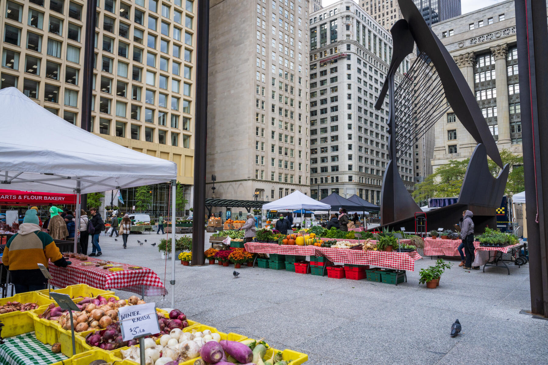 The Daley Plaza City Market in Chicago’s Loop; October 2022.