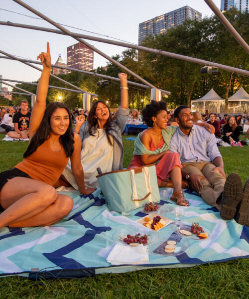 Millennium Park concert