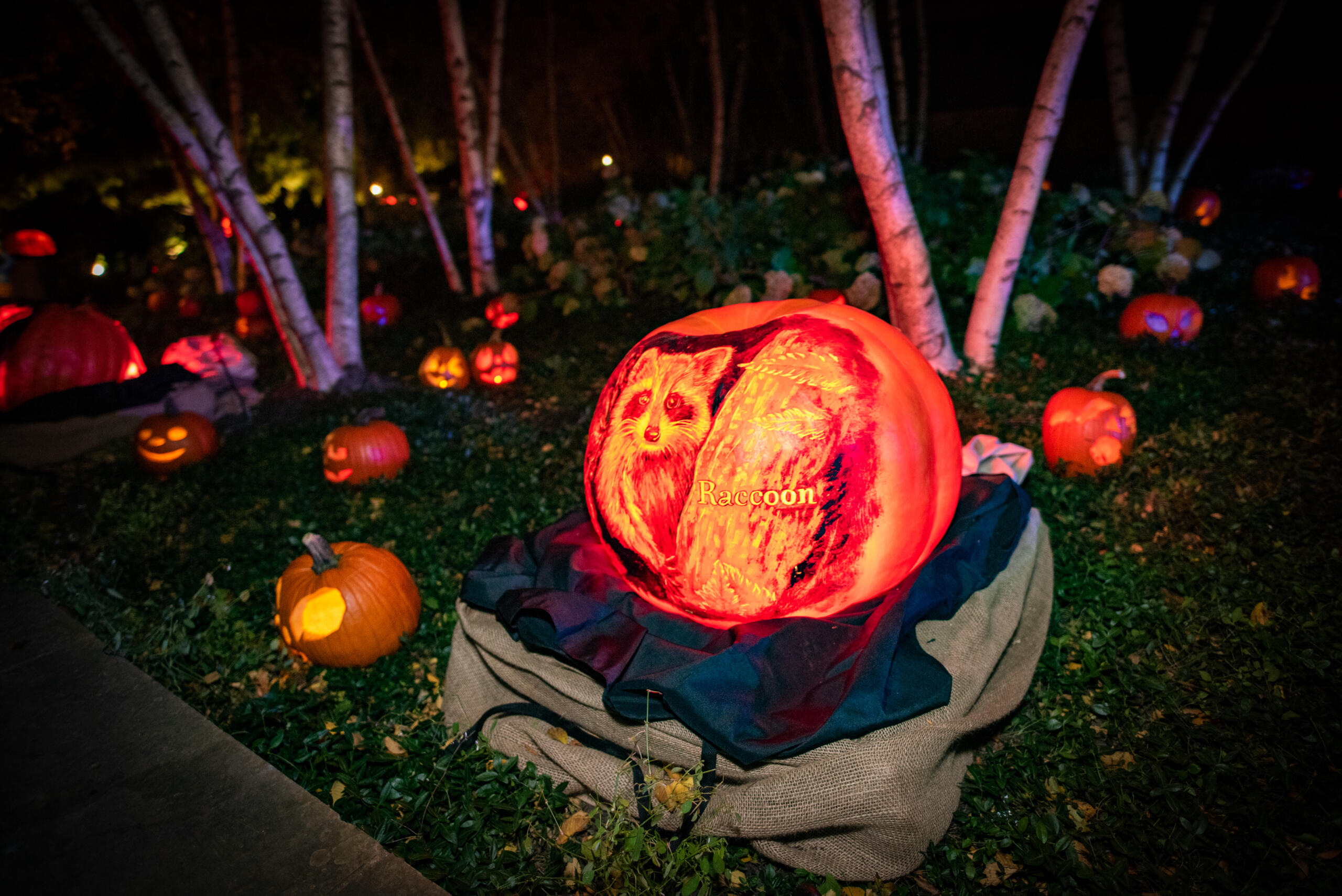 Night of 1,000 Jack-o’-Lanterns