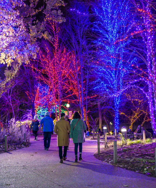 ZooLights at Lincoln Park Zoo