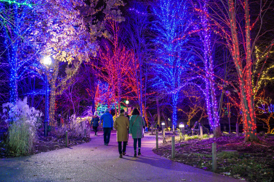 Best Spots for Christmas Lights in Chicago