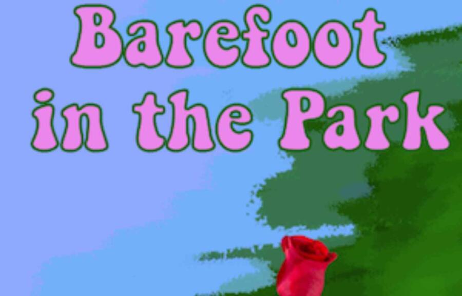 Barefoot 900x577 