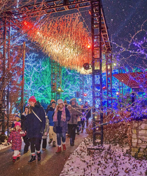 Penerangan: Lampu Pohon di Morton Arboretum