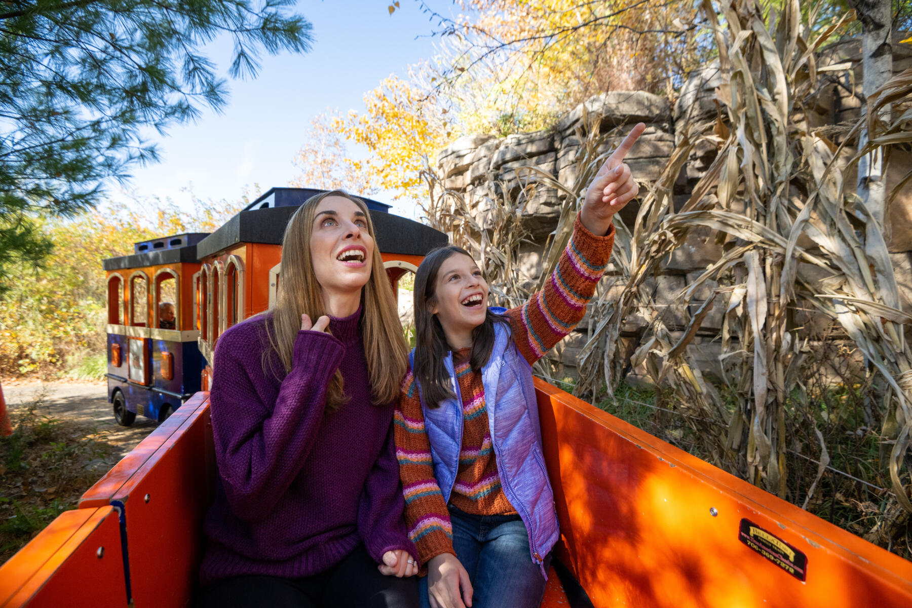 Lincoln Park Zoo Fall Fest