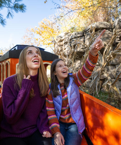 Lincoln Park Zoo Fall Fest