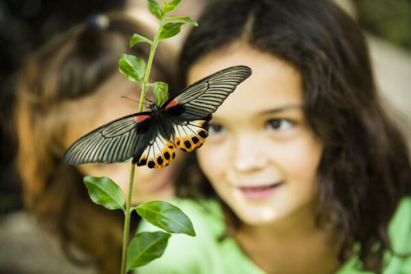 Peggy Notebaert Nature Museum