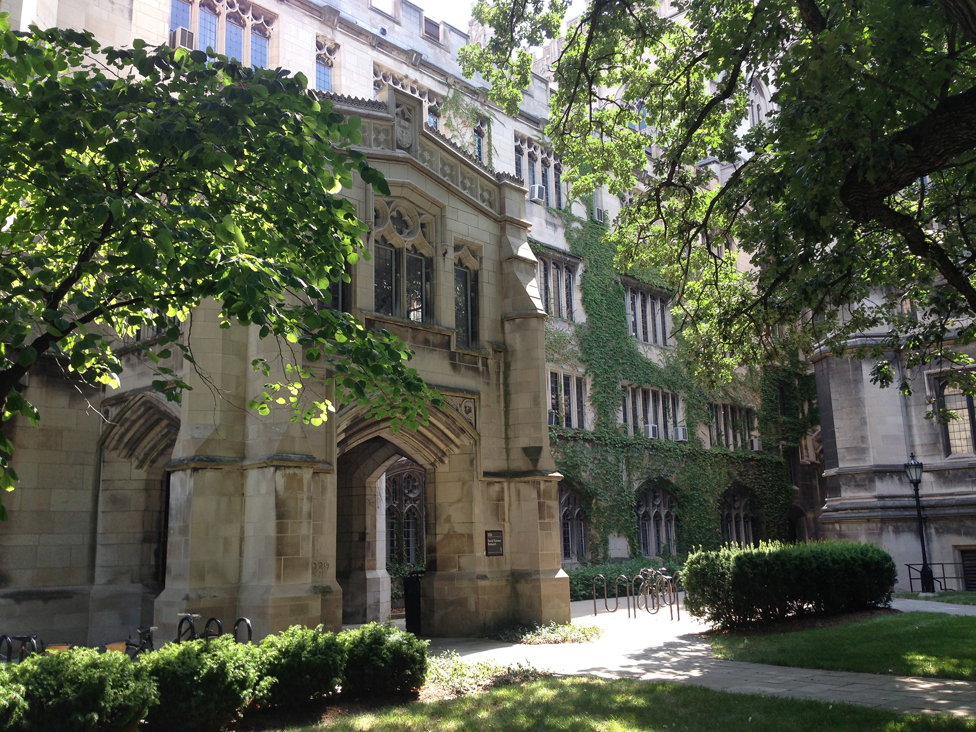 Explore the city with the Chicago Architecture Center