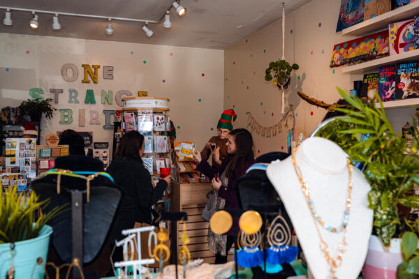 One Strange Bird in West Town