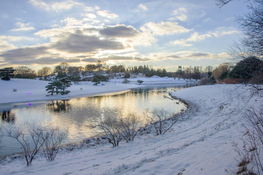 Winter in the Malott Japanese Garden at the Chicago Botanic Garden