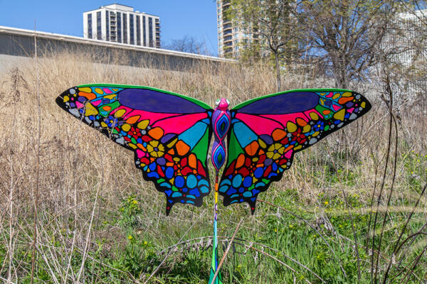 Flight of Butterflies