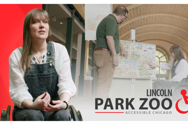 Lincoln Park Zoo_Acsessible Chicago series