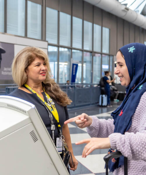 Translaters/interpreters