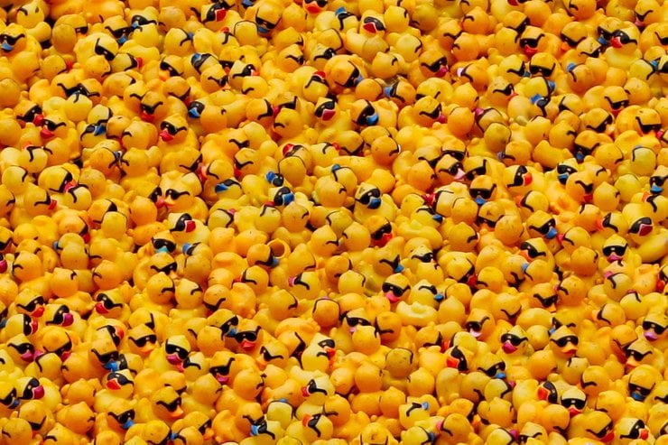 chicago-rubber-duck-race