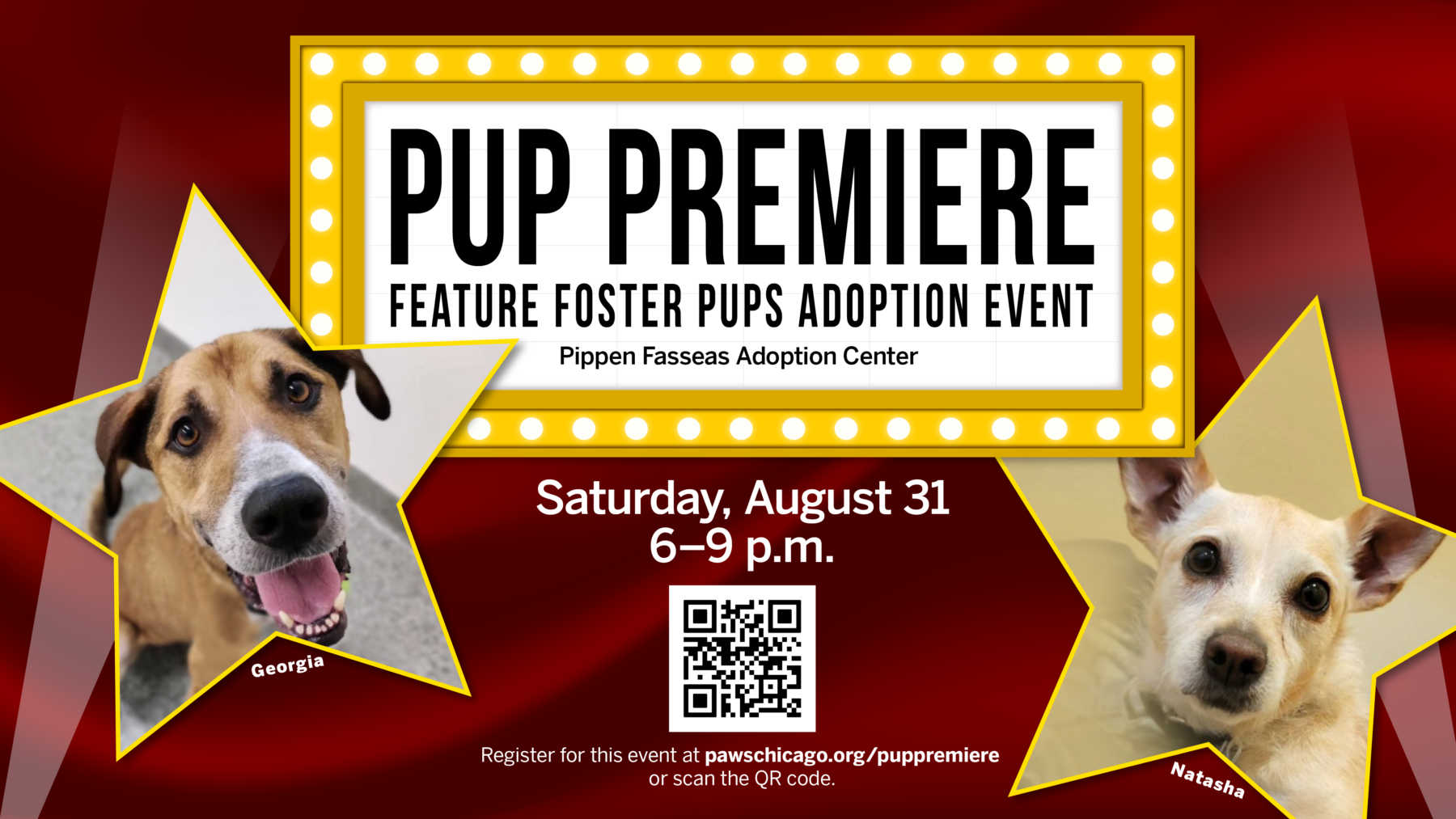 Pup Popup_PressGraphic_2024_v02