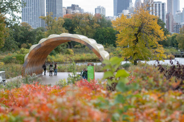 Fall colors in Chicago