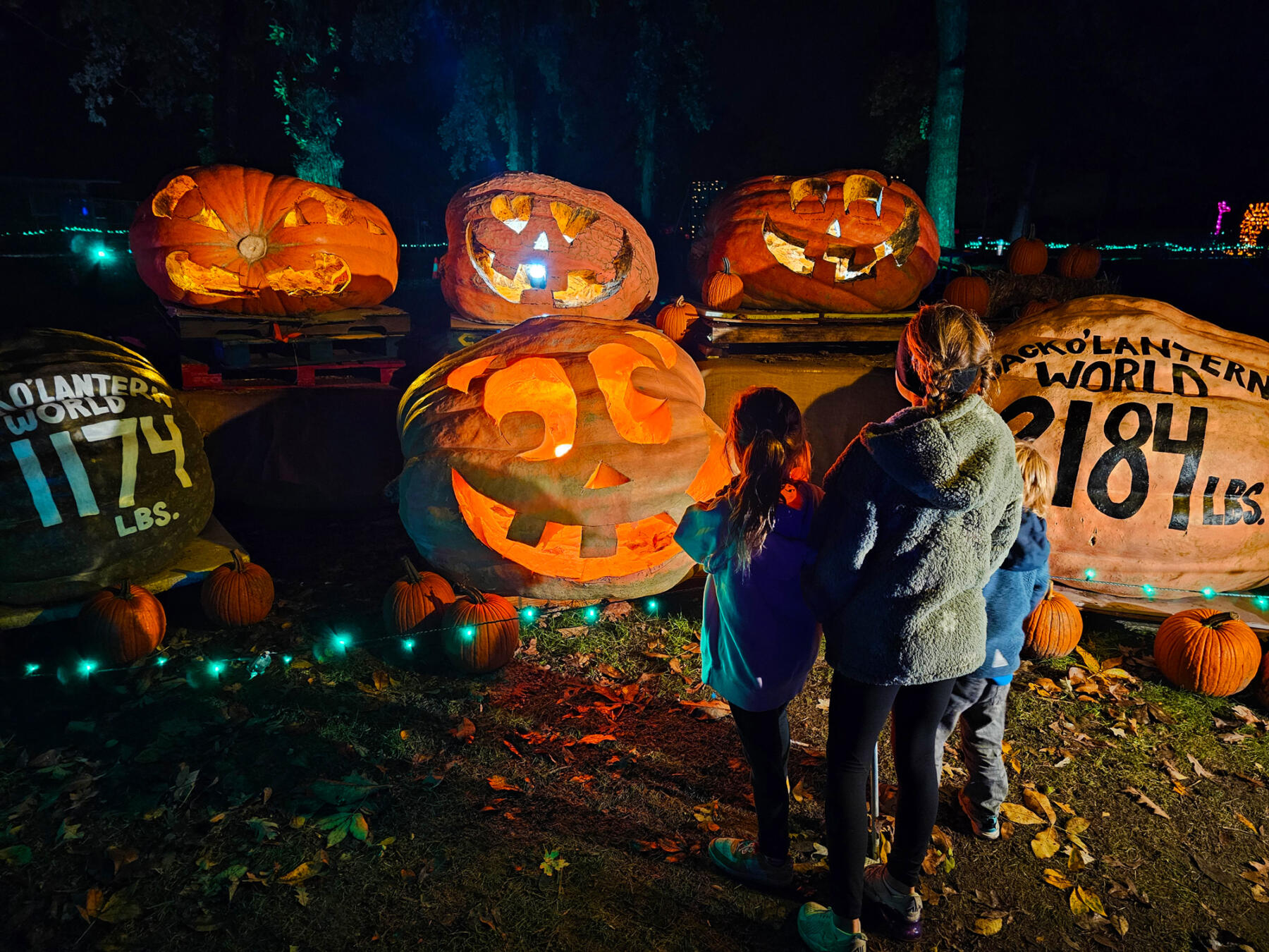 Jack-O-Lantern-World-Giant-Pumpkins