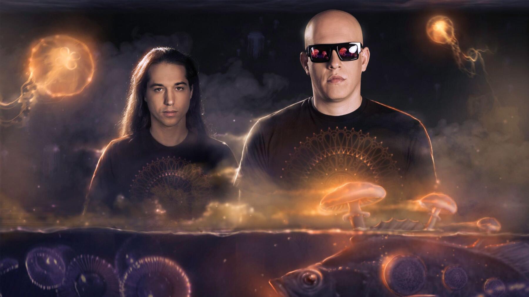 Infected Mushroom1