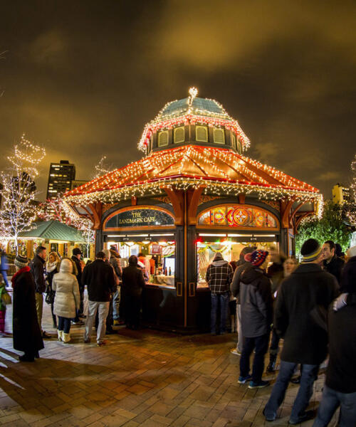 ZooLights at Lincoln Park Zoo