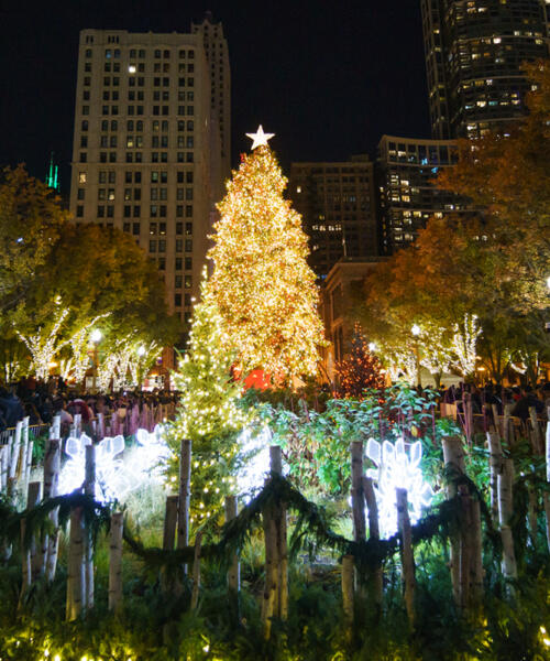 City of Chicago Christmas Tree