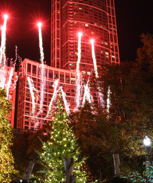 City of Chicago Christmas Tree Lighting Ceremony