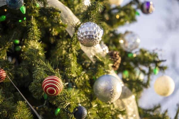 Tree Lighting at Solidarity Triangle